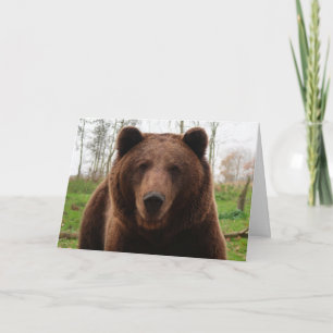 CARTÕES DE ABRAÇO DE URSO CINZENTO FELIZ ANIVERSÁR