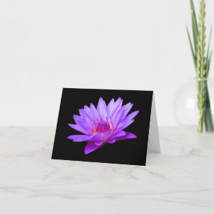 Cartões de Agradecimento em Branco de Nenúfar Roxo