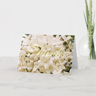 Cartões de Agradecimento Florais Stephanotis Branc
