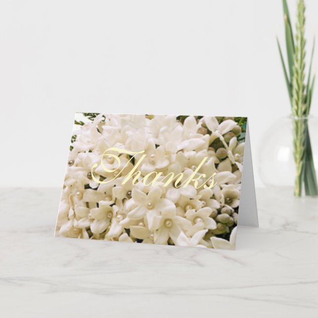 Cartões de Agradecimento Florais Stephanotis Branc (Frente)