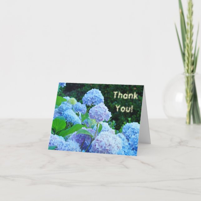 Cartões de Agradecimento! Flores de Hortênsia Azul (Frente)