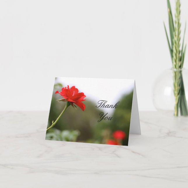 Cartões de agradecimentos (Frente)