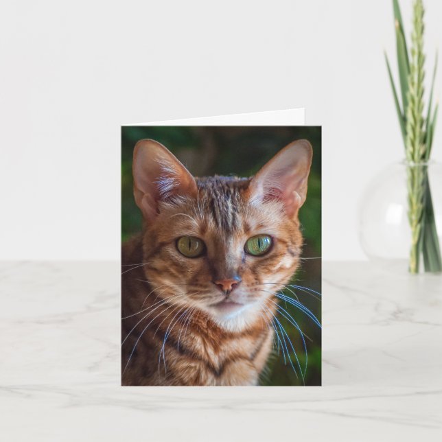 Cartões de agradecimentos (Frente)