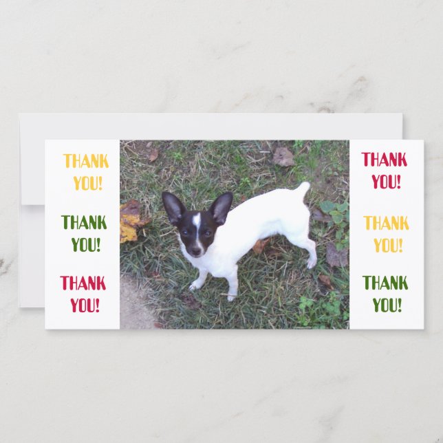 Cartões de agradecimentos (Frente)