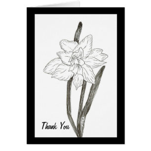 Cartões de agradecimentos