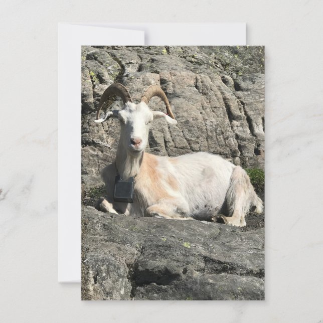 Cartões de agradecimentos (Frente)