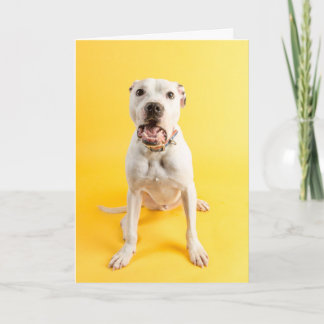 Cartões de agradecimentos