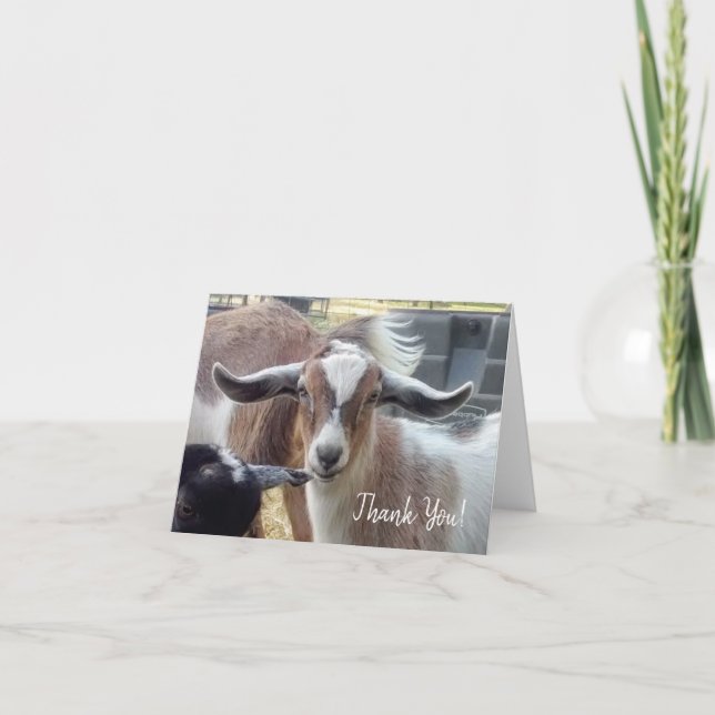 Cartões de agradecimentos (Frente)