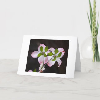 CARTÕES DE AGRADECIMENTOS