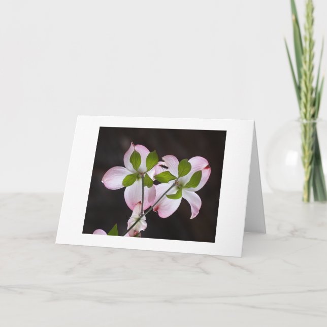 CARTÕES DE AGRADECIMENTOS (Frente)