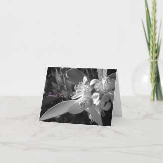 Cartões de agradecimentos alaranjados da flor