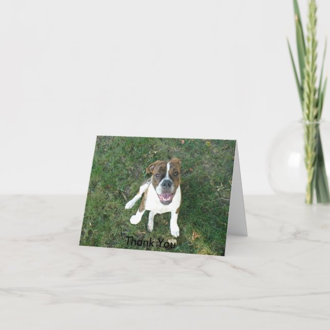 Cartões de agradecimentos (Arco!) (Frente)