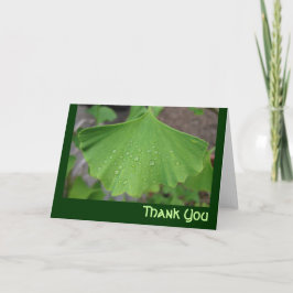 Cartões de agradecimentos - biloba do ginko