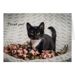 Cartões de agradecimentos Bonito de Rosa Bella