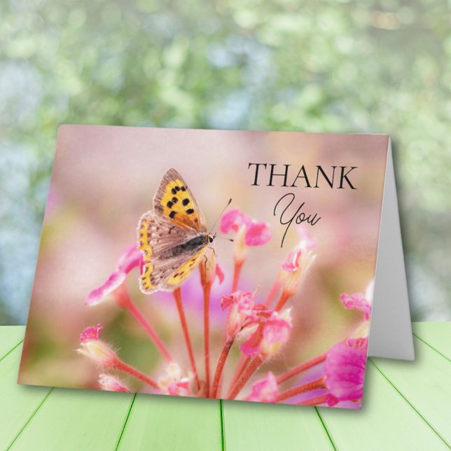 Cartões de agradecimentos borboleta (Criador carregado)