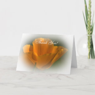 Cartões de agradecimentos California Poppy