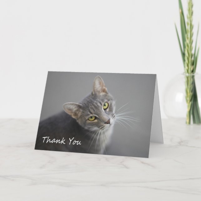 Cartões de agradecimentos cinzentos do gato de (Frente)