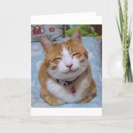 Cartões de agradecimentos com gato feliz