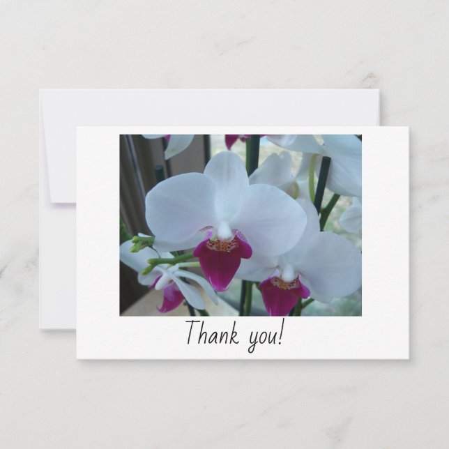 Cartões de agradecimentos com orquídeas brancas e  (Frente)