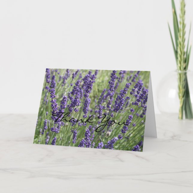 Cartões de agradecimentos das flores da lavanda (Frente)