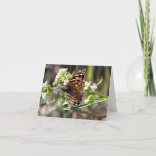 Cartões de agradecimentos de borboletas (dentro Va