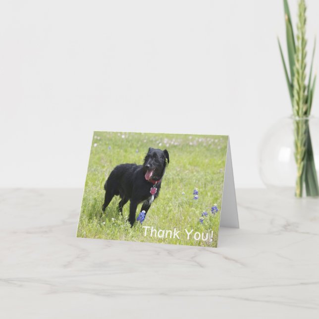 Cartões de agradecimentos de cães (Frente)