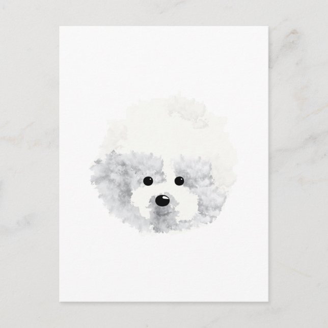Cartões de agradecimentos de cão Bichon Frise (Frente)