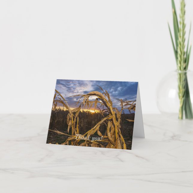 Cartões de agradecimentos de Colheita de Ozarks (Frente)