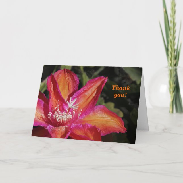 Cartões de agradecimentos de Epiphyllum (Frente)