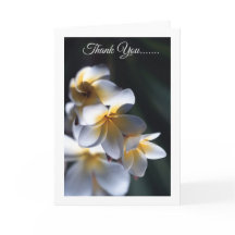 Cartões de agradecimentos de flor Frangipani