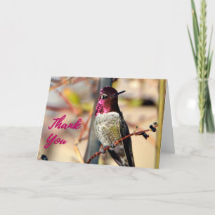 Cartões de agradecimentos de Foto de Hummingbird d