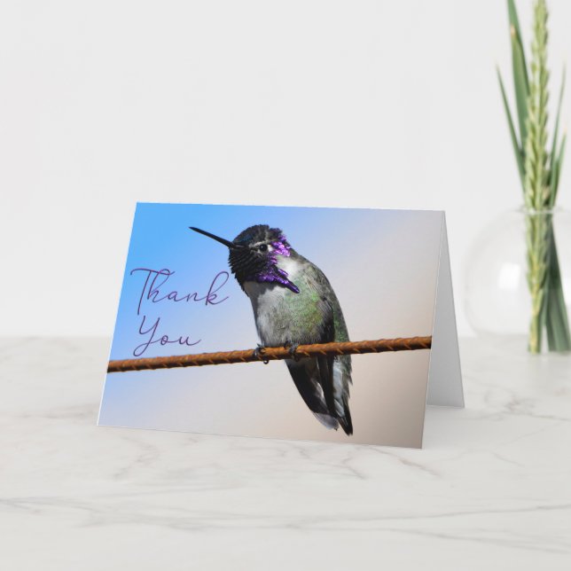 Cartões de agradecimentos de Foto de Hummingbird d (Frente)