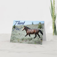 Cartões de agradecimentos de Foto Wild Mustang