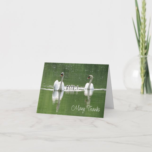 Cartões de agradecimentos de Fotografia da Família (Frente)