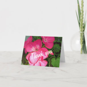 Cartões de agradecimentos de Fotos Geranium Rosa