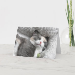 Cartões de agradecimentos de Gatinho sorridente