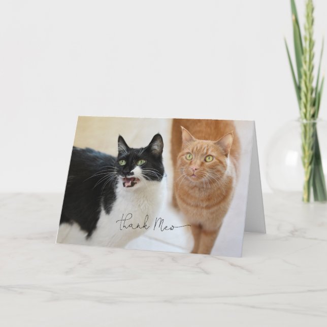 Cartões de agradecimentos de gatos (Frente)