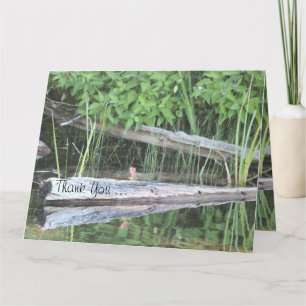 Cartões de agradecimentos de generosidade