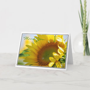 Cartões de agradecimentos de girassol