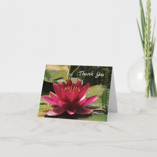 Cartões de agradecimentos de Lily de Água Rosa da  (Frente)