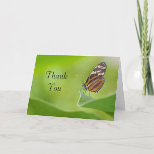 Cartões de agradecimentos de Longwing do tigre