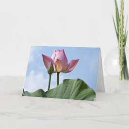 Cartões de agradecimentos de Lotus Rosa