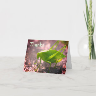 Cartões de agradecimentos de Natureza do Gafanhoto