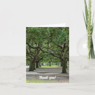 Cartões de agradecimentos de Painterly dos Jardins
