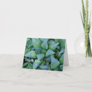 Cartões de agradecimentos de Plantas Suculentas H
