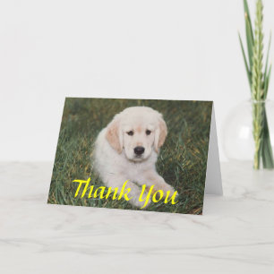 Cartões de agradecimentos de puppy do ouro