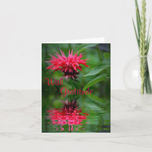 Cartões de agradecimentos de Reflexão do Bee Balm