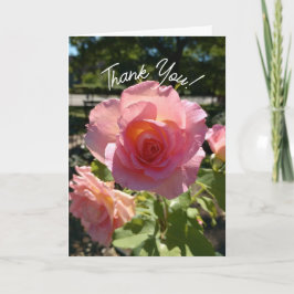 Cartões de agradecimentos de Rosa de chá rosa radi