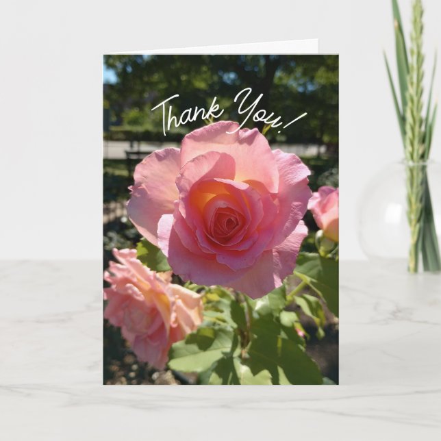 Cartões de agradecimentos de Rosa de chá rosa radi (Frente)