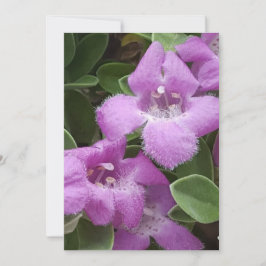 Cartões de agradecimentos de Sage Roxo